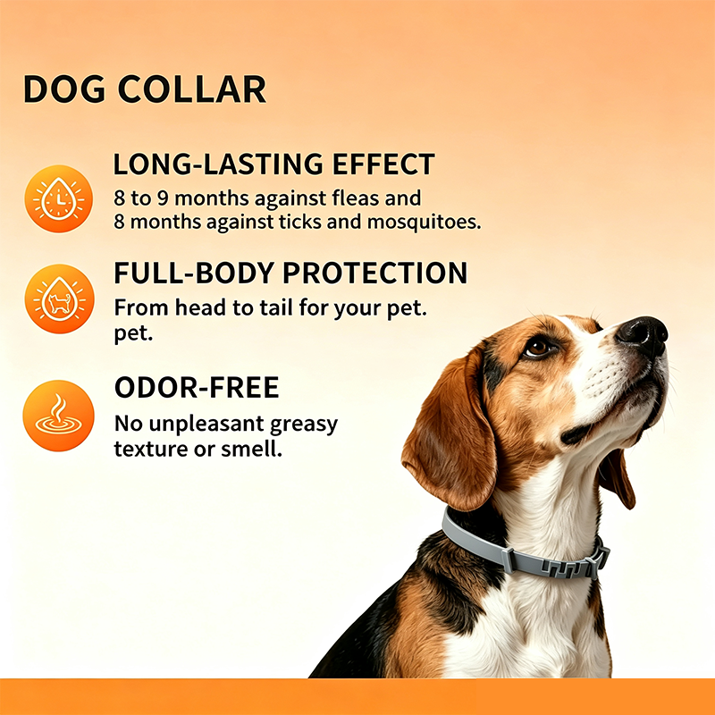 Adjustable dog collar with a fresh scent,Perfect for everyday outdoor use 🐾🌿